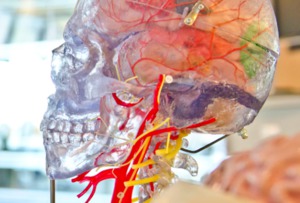 How Microsoft's HoloLens Can Reduce The Time You Are On The Operating Table